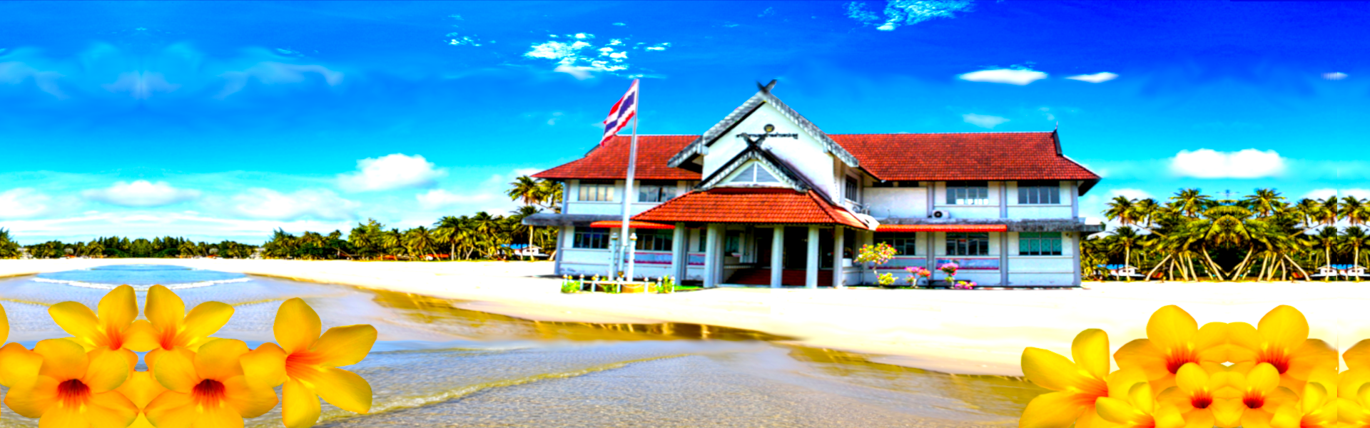 พื้นหลัง