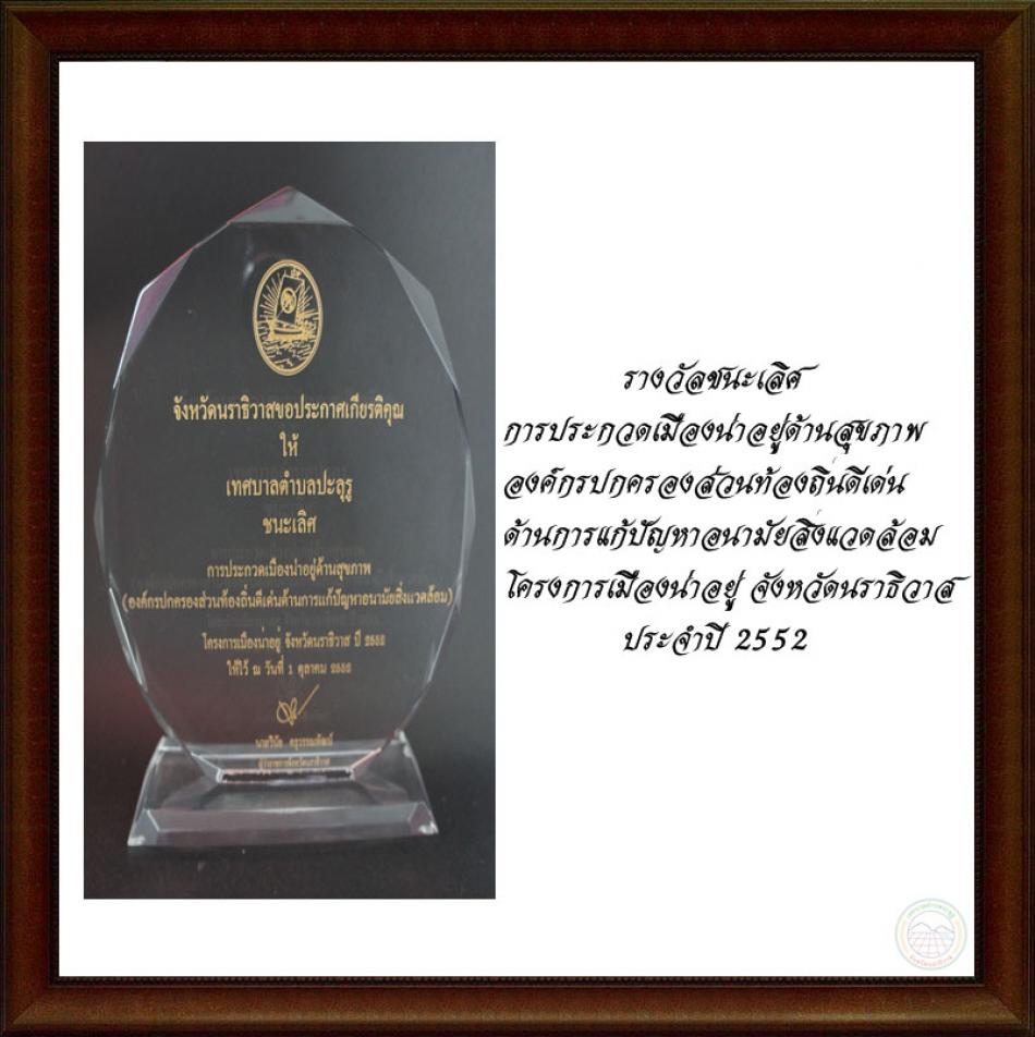 รางวัลชนะเลิศการประกวดเมืองน่าอยู่ด้านสุขภาพองค์กรปกครองส่วนท้องถิ่นดีเด่น ด้านการแก้ปัญหาอนามัยสิ่งแวดล้อม โครงการเมืองน่าอยู่ จังหวัดนราธิวาส ประจำปี2552